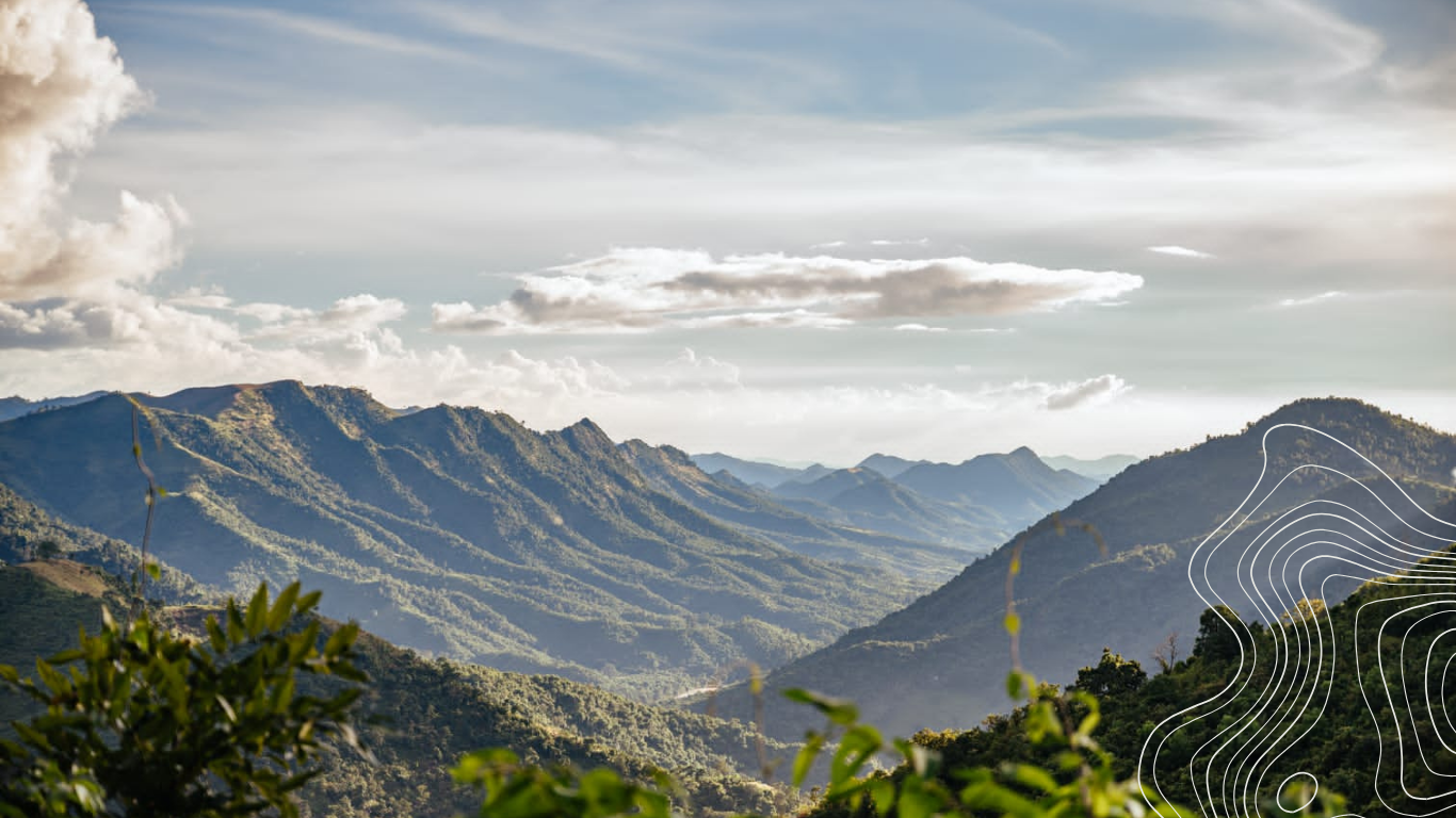 旅行に関するすべて